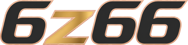 6z66 লোগো